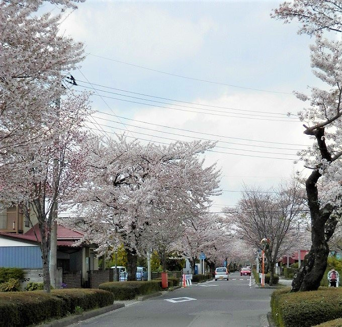 Nogi Jinja Shrine-那须盐原市必去景点