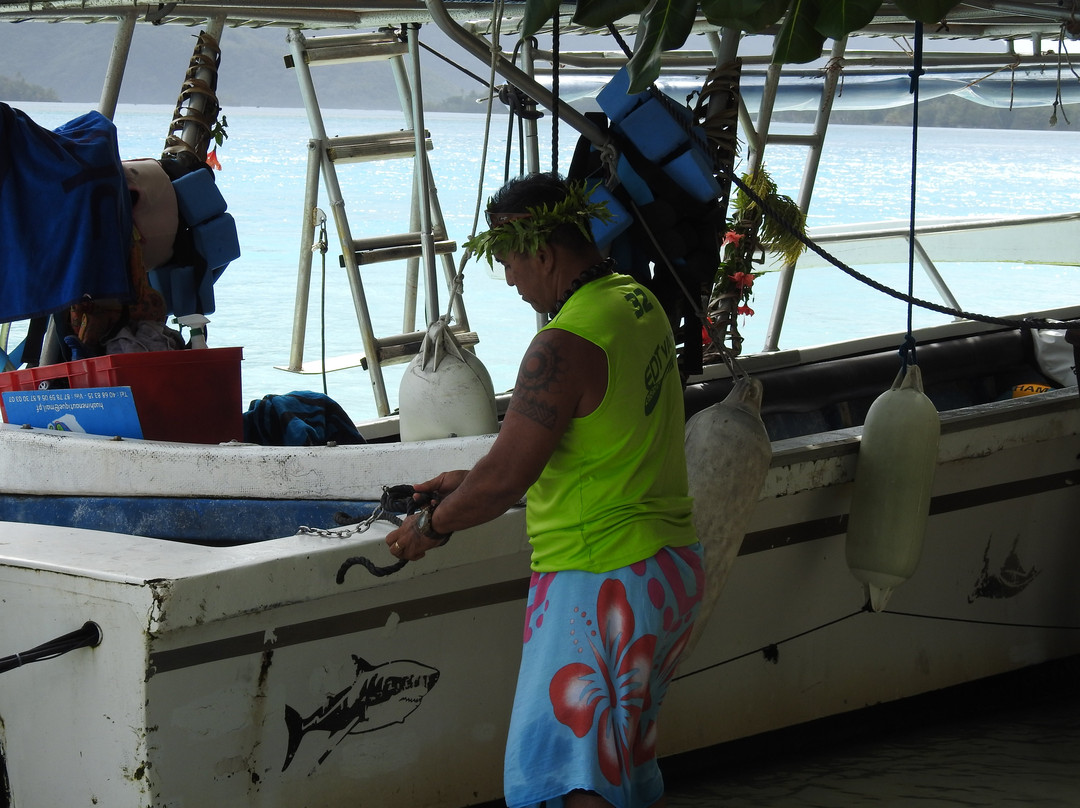 Huahine Nautique景点图片