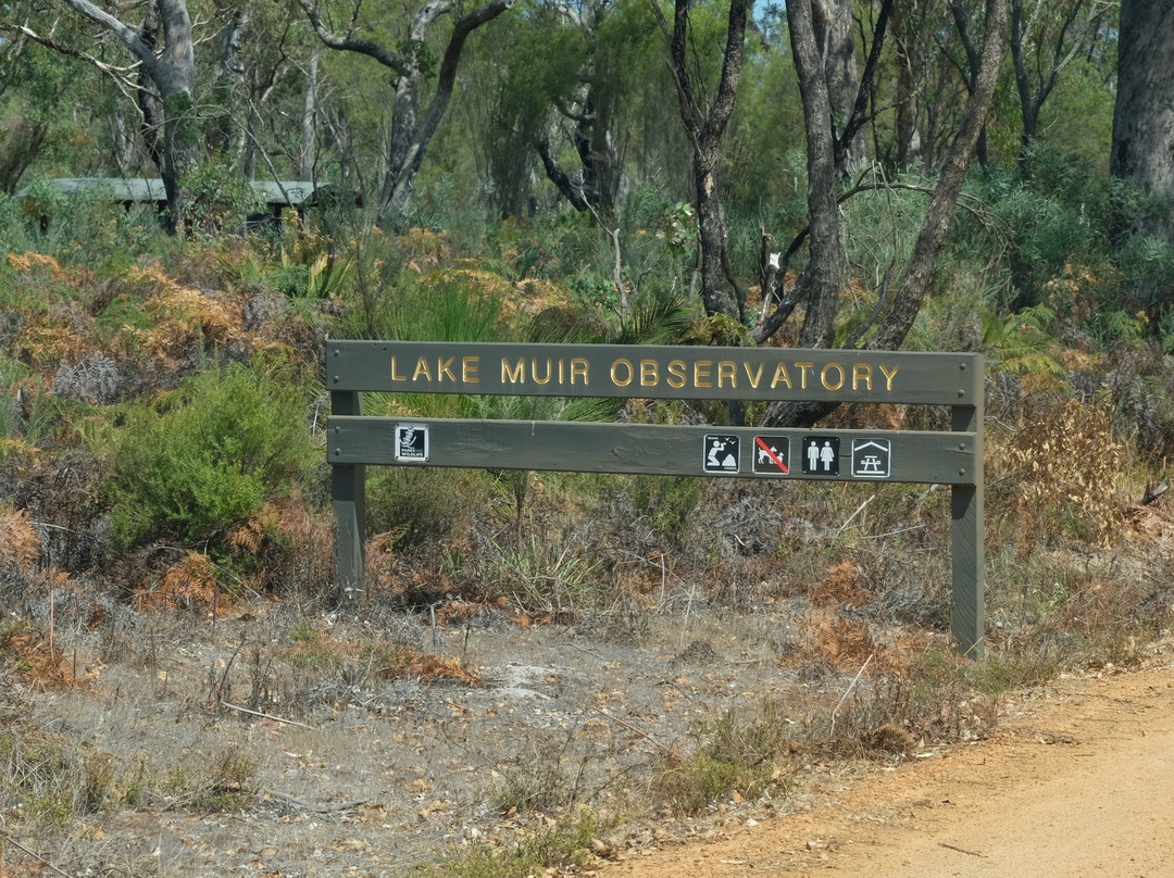 Lake Muir National Park-彭伯顿必去景点