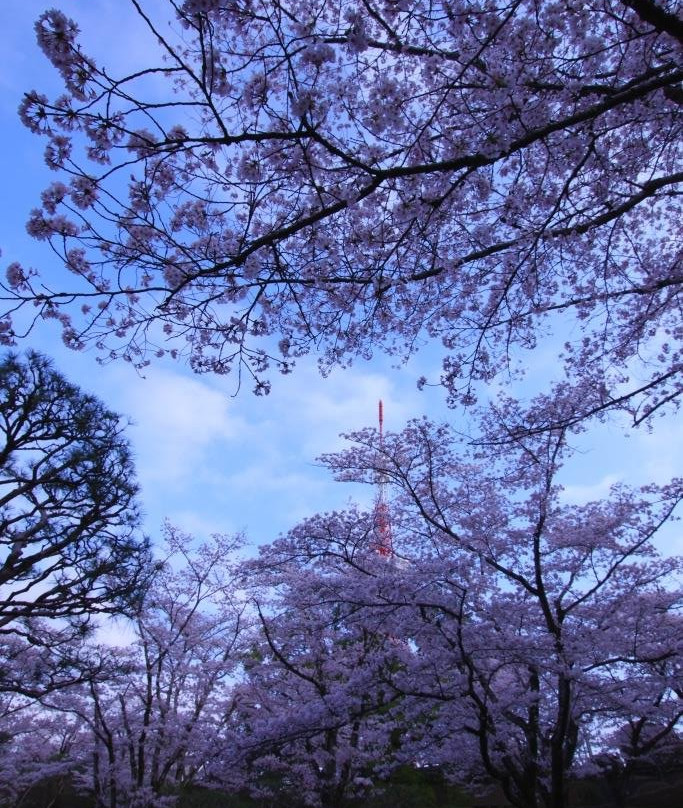 Hachimanyama Park-宇都宫市必去景点
