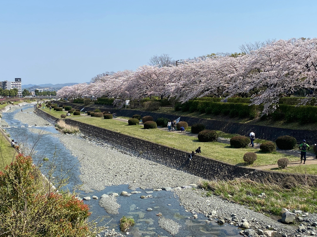 Chuo Undo Park-秦野市必去景点
