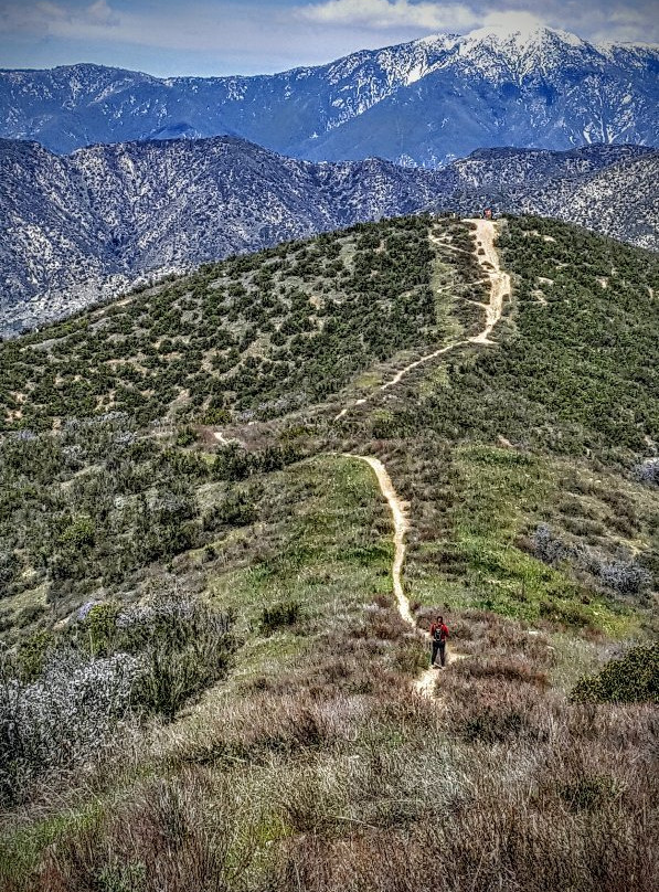 Zanja Peak Trail景点图片