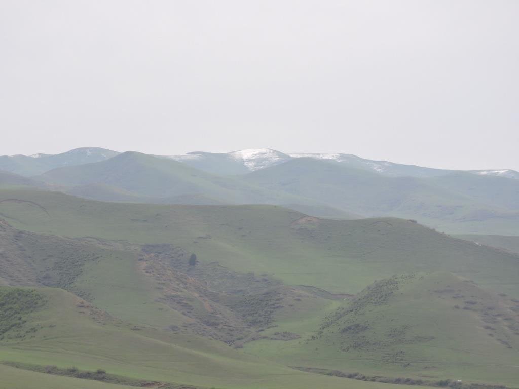 Osh Guest House-官方