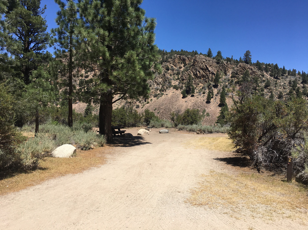 Sonora Bridge Campground