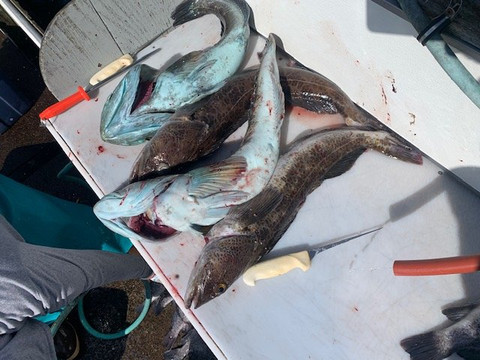 Yaquina Bay Charters-纽波特必去景点