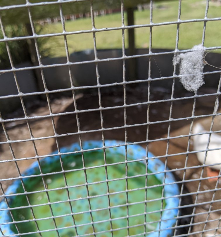 Henscratch Farms Vineyard & Winery-Lake Placid必去景点