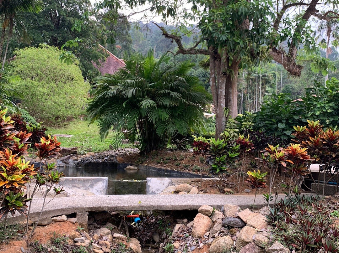 Krating Country Resort主图