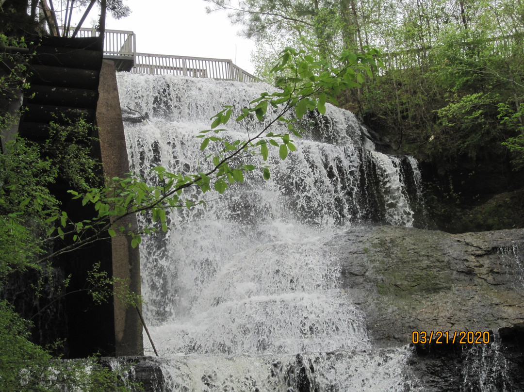 Dunn's Falls Water Park景点图片
