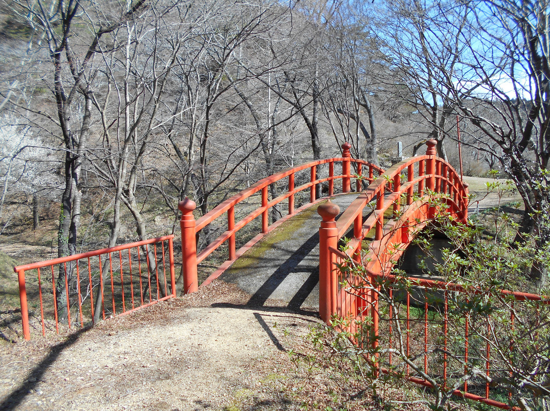 Yamatsuriyama Park景点图片