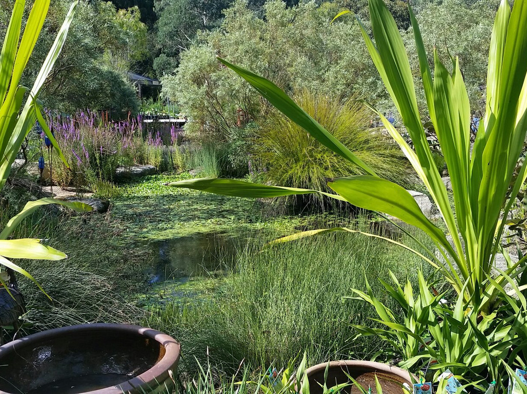Kuranga Native Nursery-Mount Evelyn必去景点