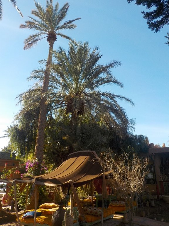 Jnane-Dar Diafa主图