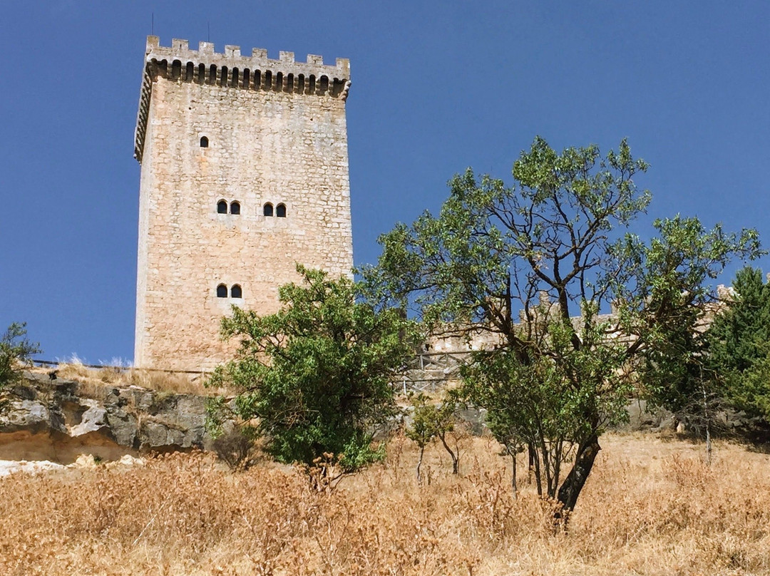 Castillo de Peñaranda景点图片