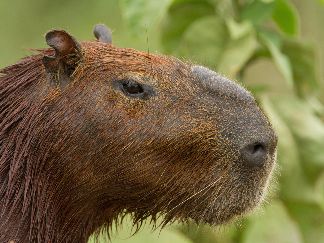 Boutique Travel Experts-大坎普市必去景点