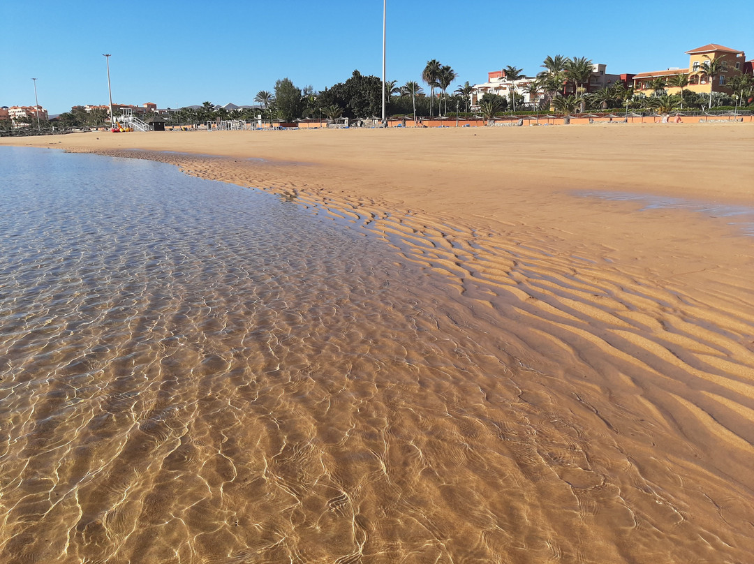 La Guirra Beach景点图片