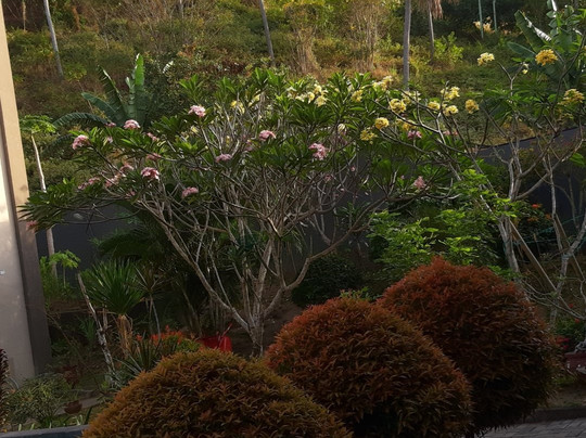 OYO 1655 Grand Senggigi Hotel主图