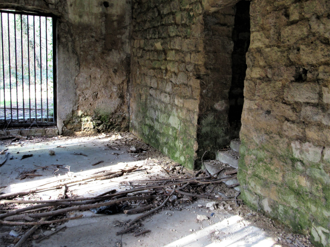 Parc Forestier de la Poudrerie景点图片