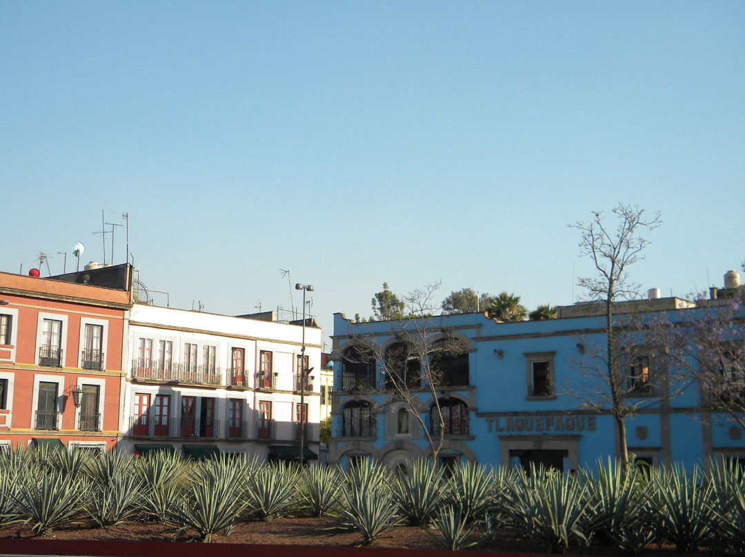 Plaza Garibaldi景点图片