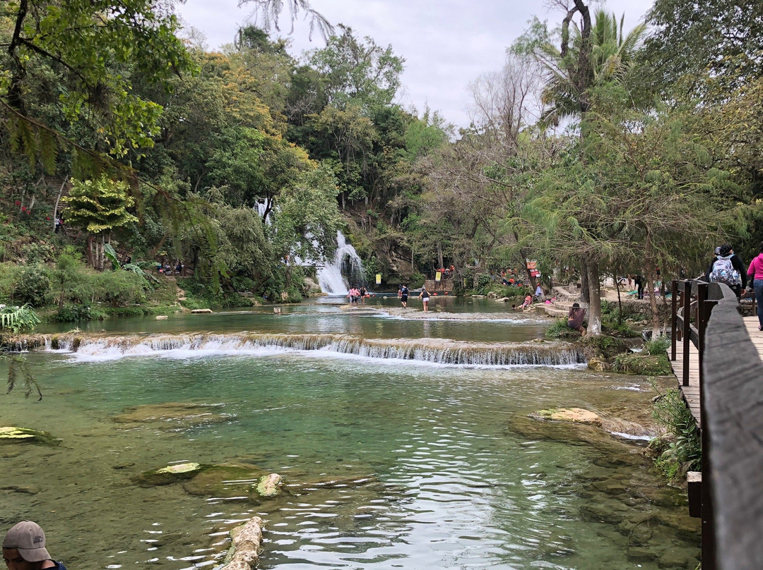 Cascadas de Tamasopo景点图片