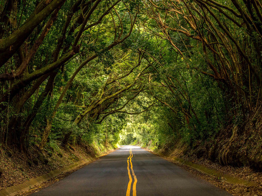 The Real Hawai'i-火奴鲁鲁必去景点
