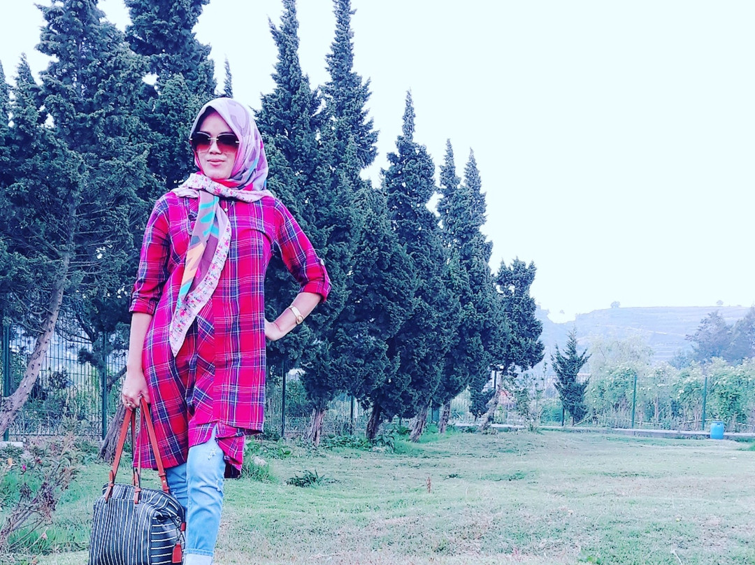 Chauffeur Java ( Yogyakarta)-Yogyakarta必去景点