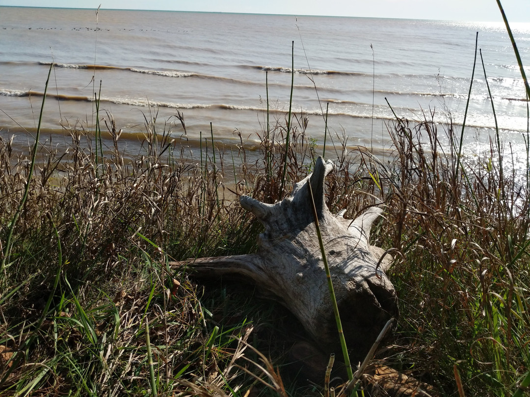 Point Creek Conservation Area-Cleveland必去景点