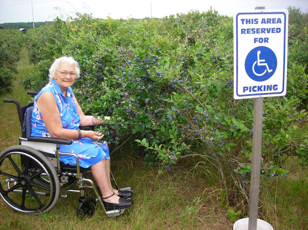 Hugli's Blueberry Ranch & Country Gift Store-Pembroke必去景点