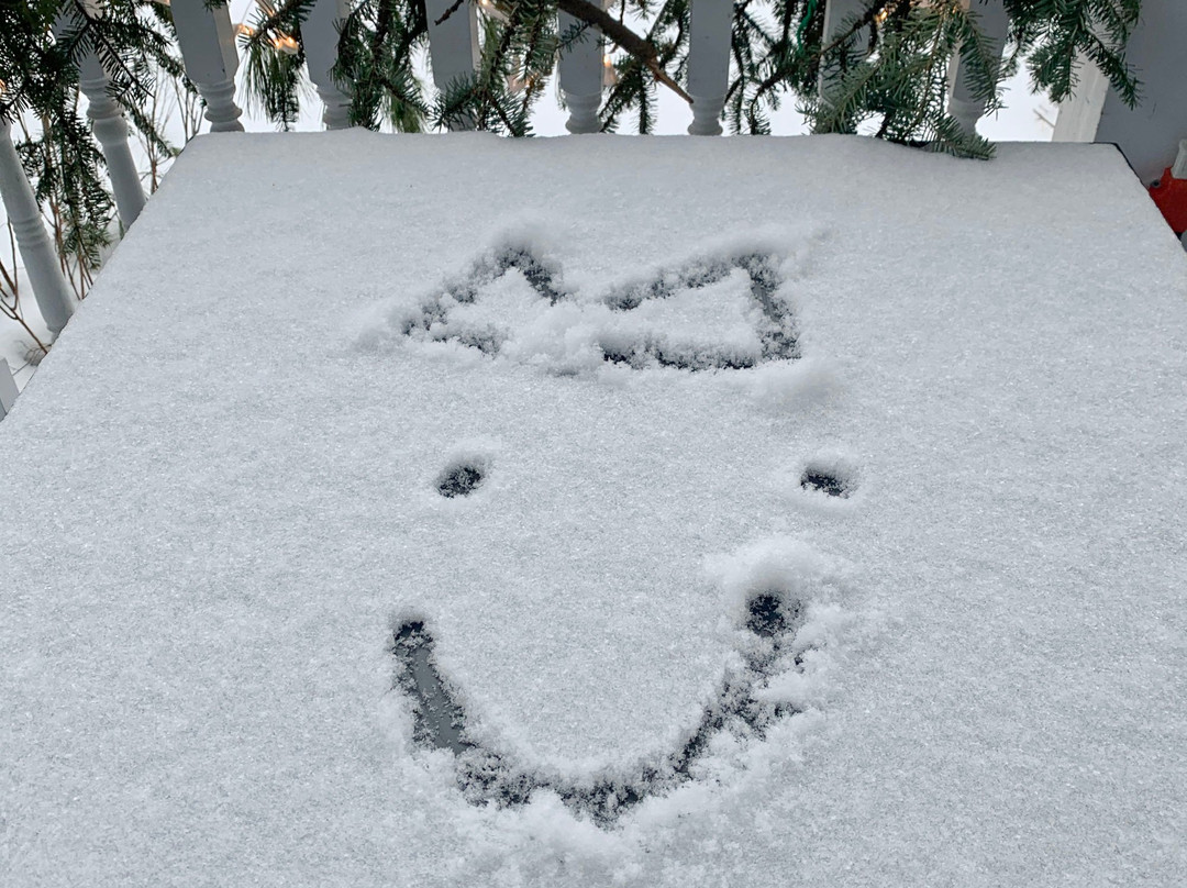 Domaine Jolivent主图