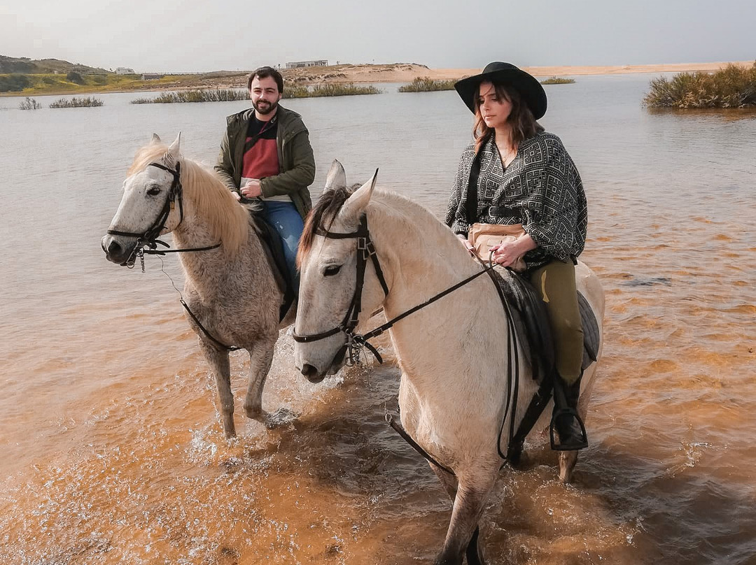 Passeios a Cavalo Melides景点图片