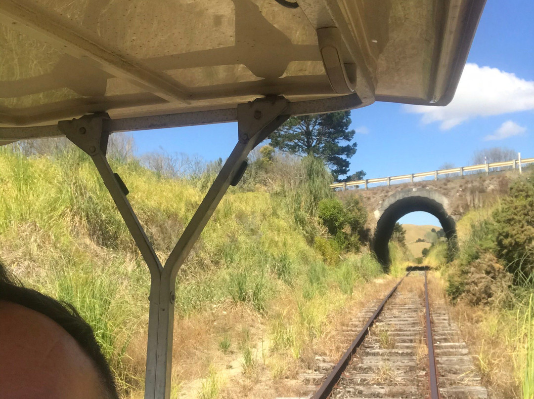 Dargaville Rail & River Tours景点图片