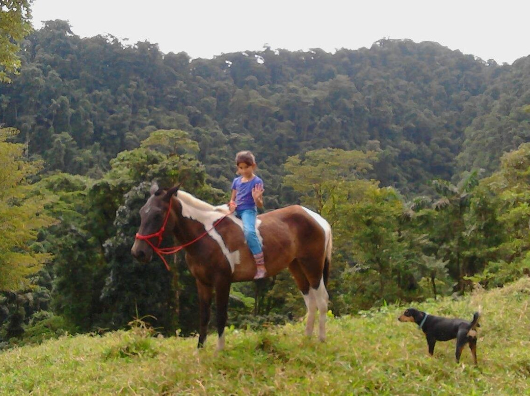 Finca Las Cataratas景点图片