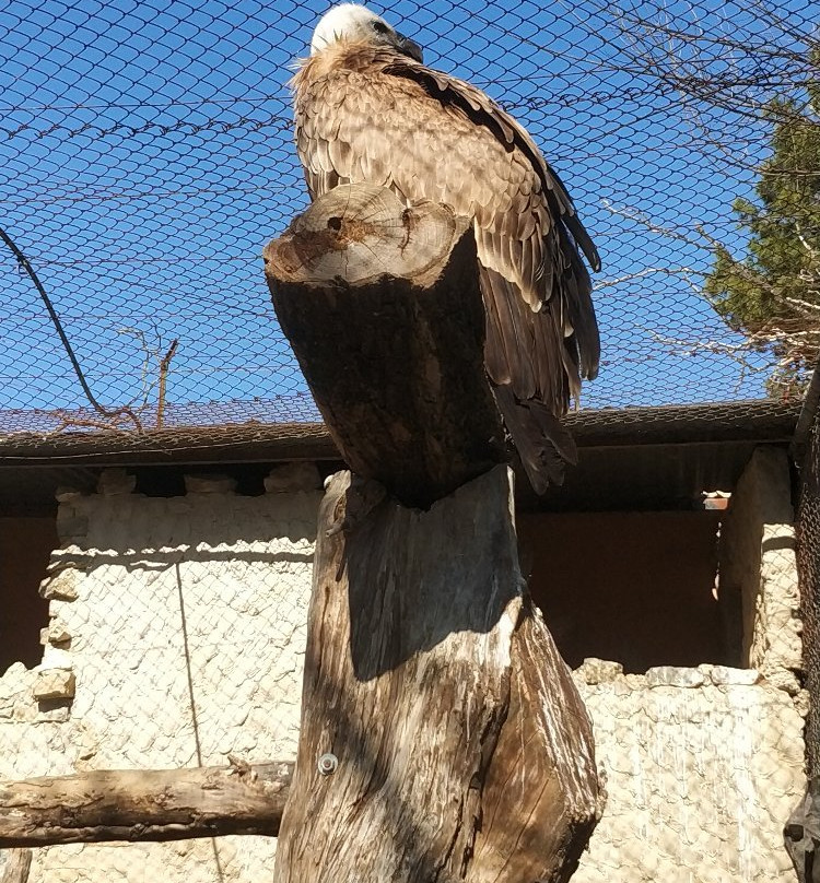 Zoobotanico Jerez景点图片