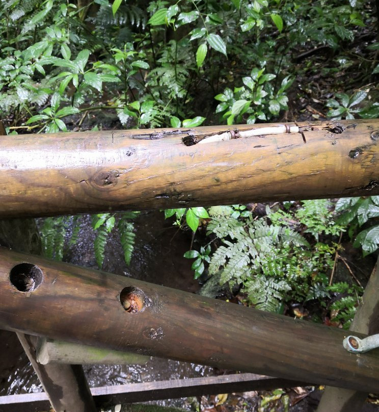Bosque de la Hoja景点图片