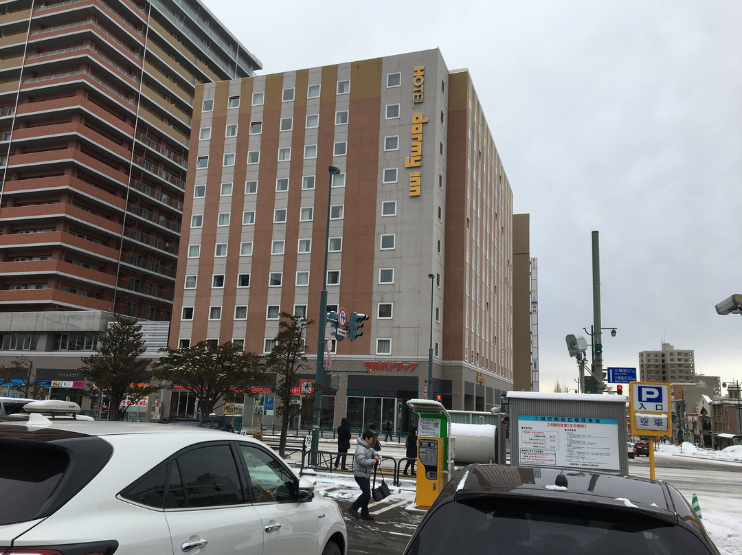 小樽豪华多米酒店主图
