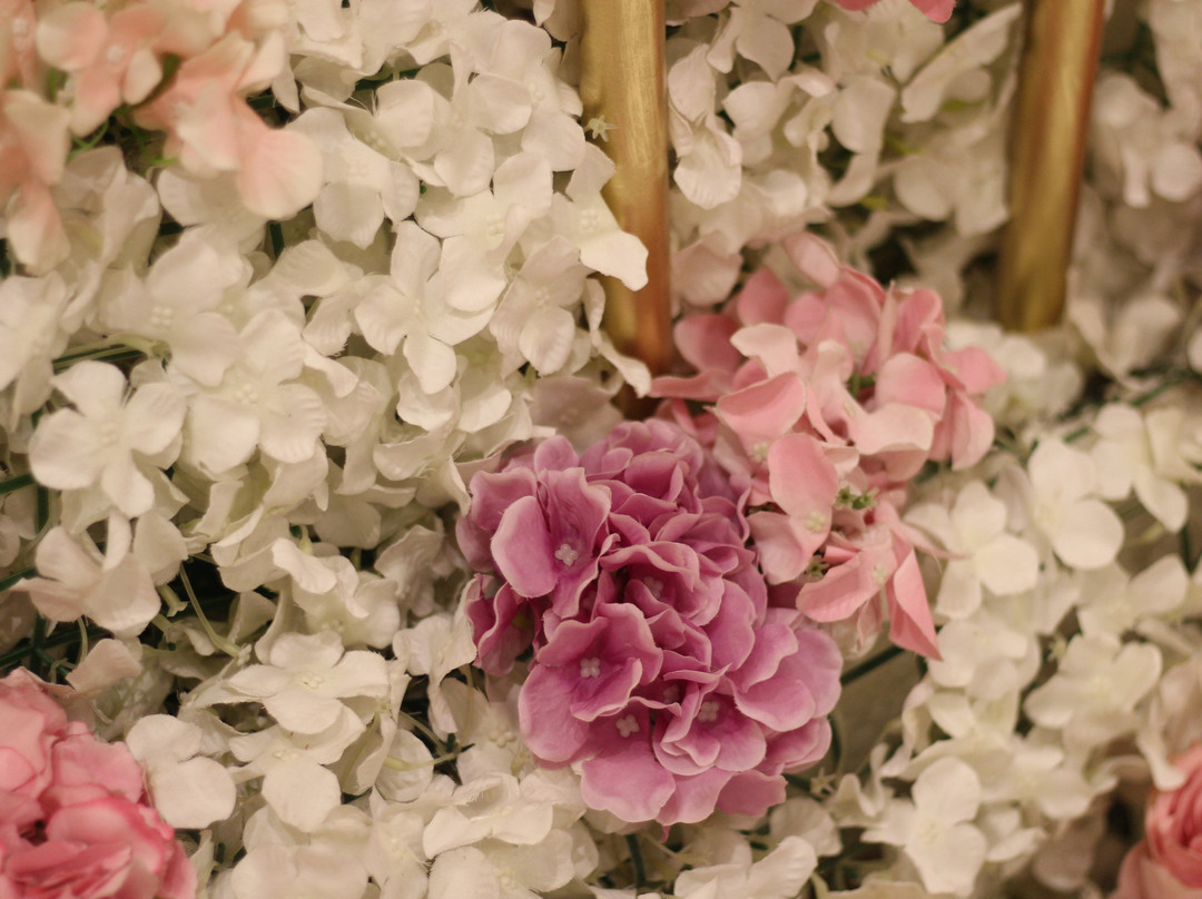 Makeen Homes By Warwick主图