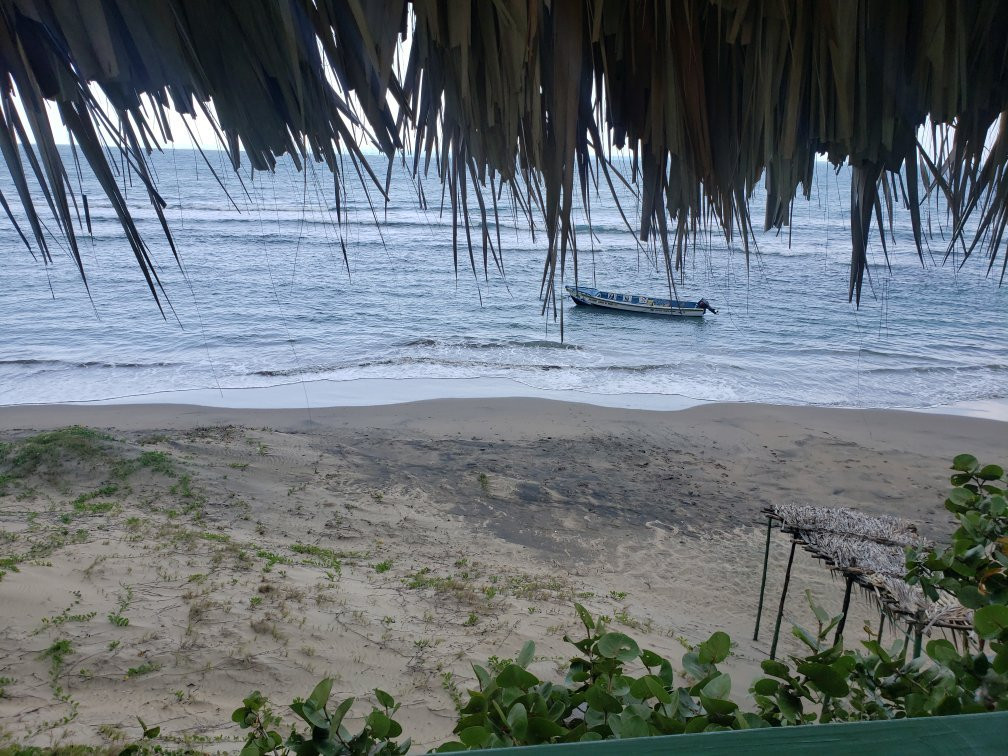 Captain Joseph Treasure Beach Adventures景点图片