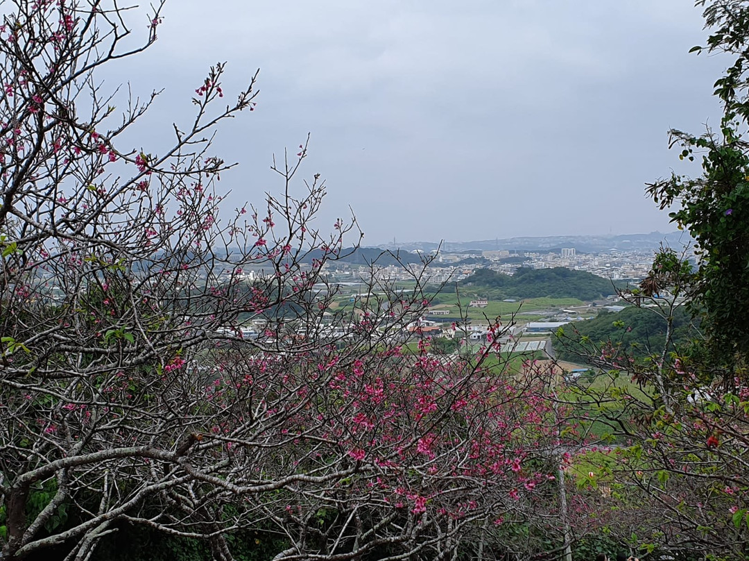 Yaese Park景点图片