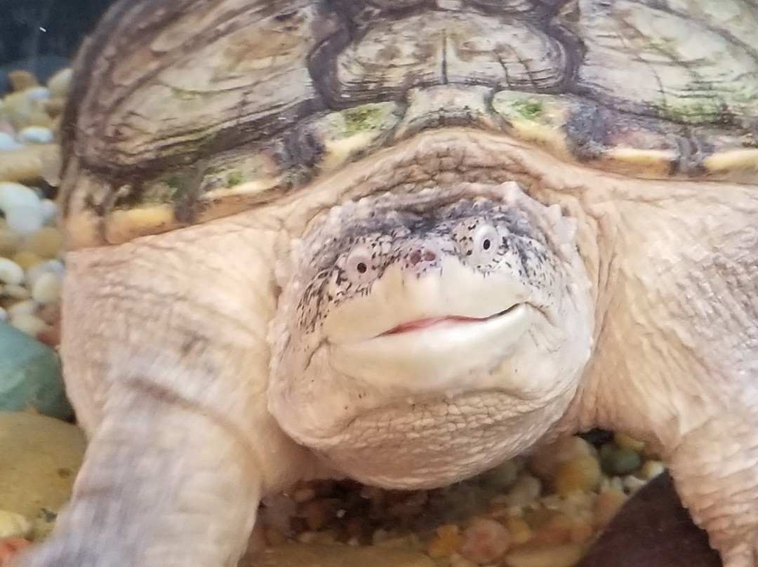 Star Eco Station-卡尔弗城必去景点