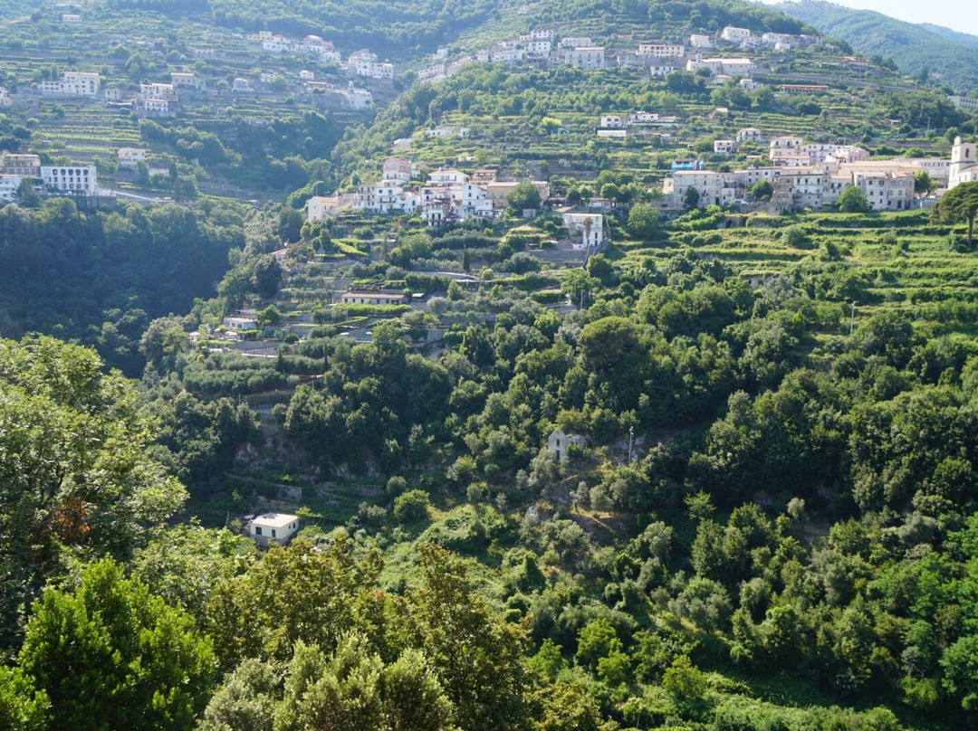 Positano Tonytaxi Private Tours & Transfers-波西塔诺必去景点