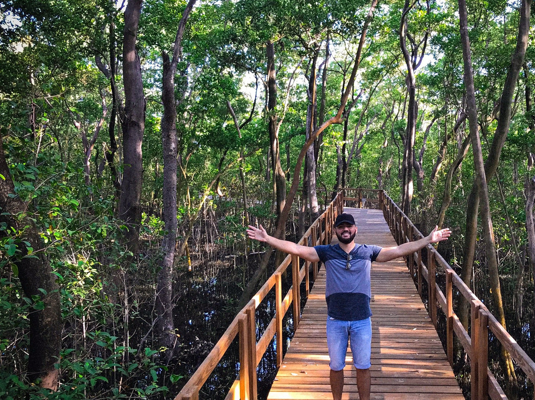 Manglares de Old Point National Park-圣安德烈斯必去景点