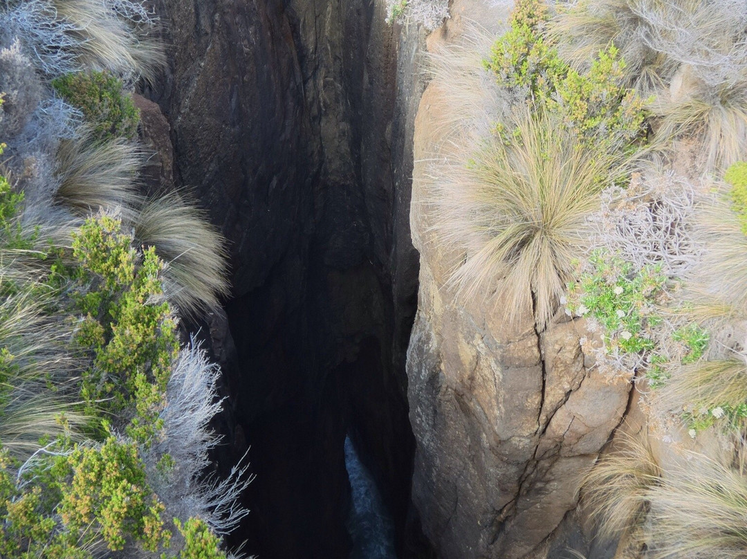 Mount Brown and Crescent Bay Walking Track-亚瑟港必去景点