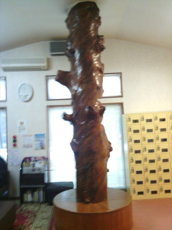 Onsen Center Flora-山鹿市必去景点