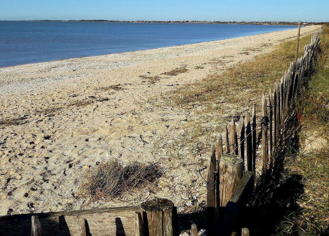 Réserve Naturelle Nationale Moëze-Oléron-Saint Froult必去景点