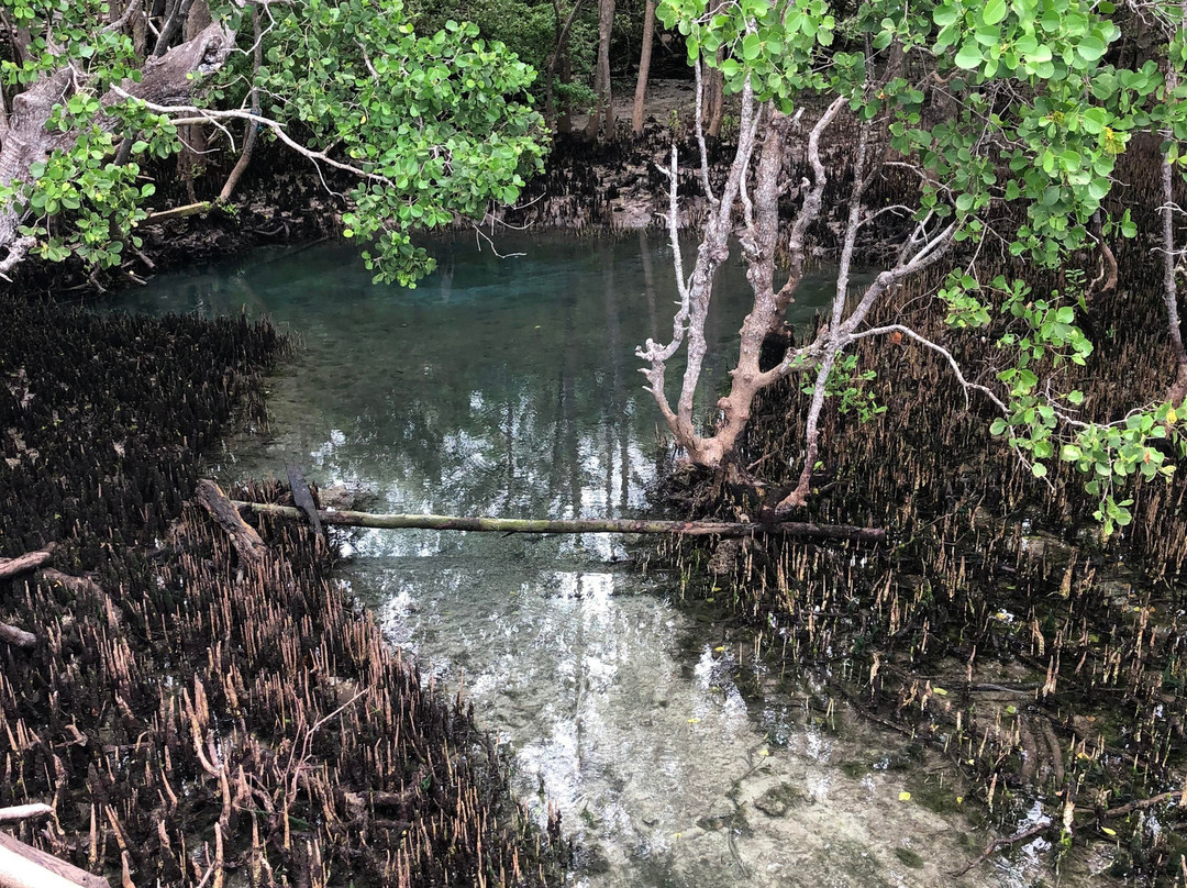 Guiwanon Spring Park-锡基霍尔岛必去景点