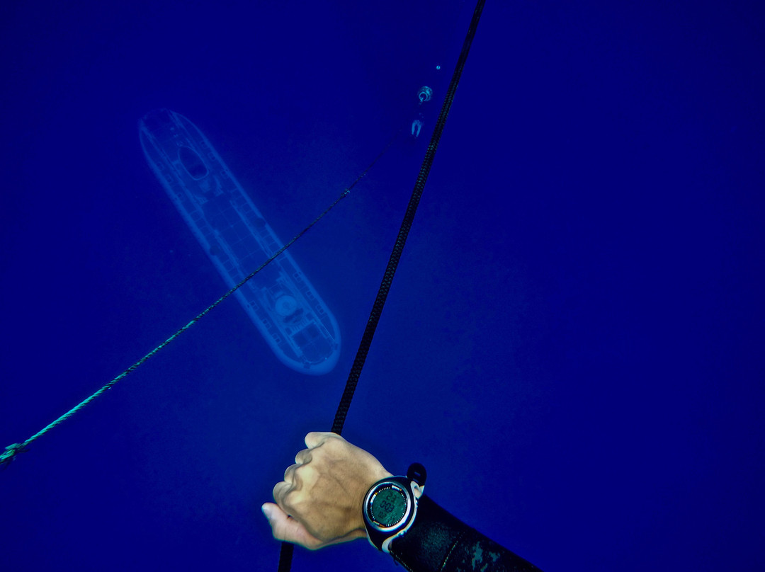 Freedive Hawaii景点图片