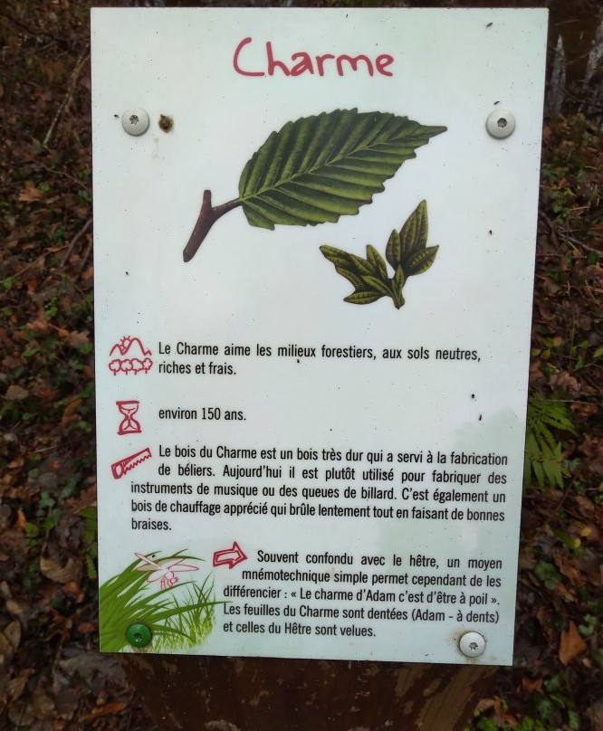 Mare de Craquenot - Espace Naturel Sensible-Charette必去景点