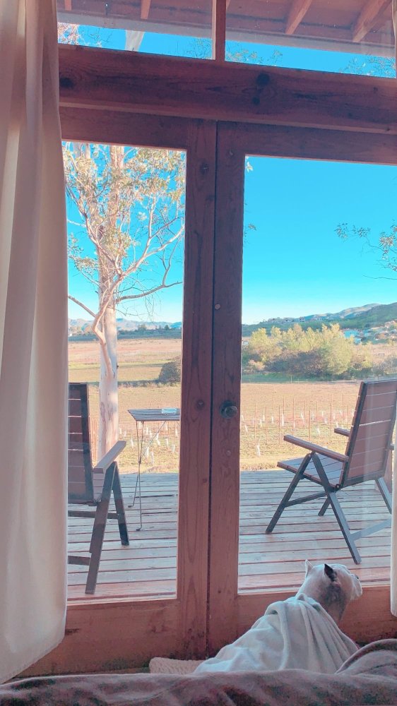 Casa Mayoral-酒店景观