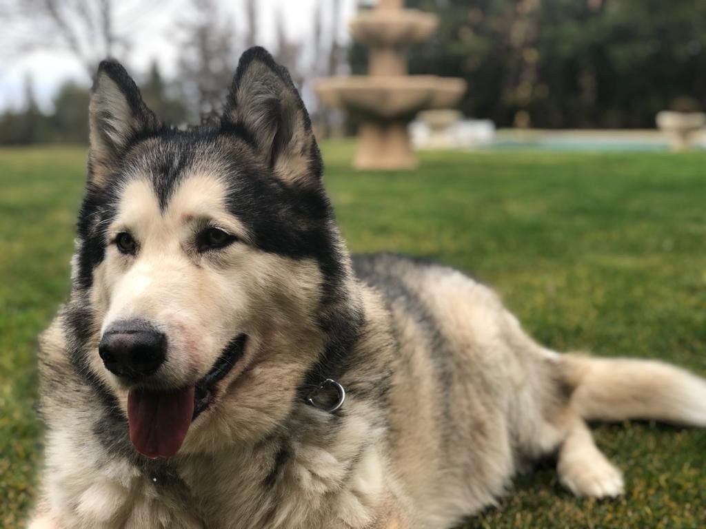 El Cigarral del Pintor主图