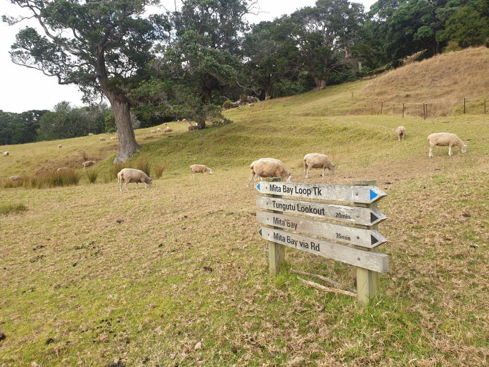 Mahurangi Regional Park-瓦卡沃夫必去景点