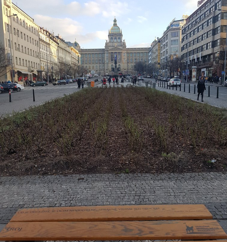 Wenceslas Square景点图片