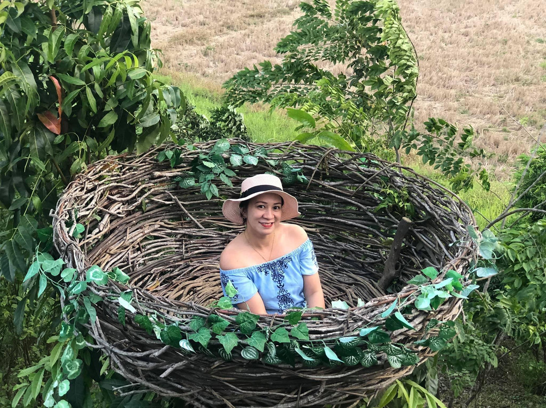 Mapols Farm-Pototan必去景点